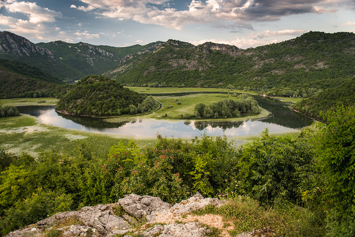 co warto zobaczyć w Czarnogórze, jak dojechać do Czarnogóry, Czarnogóra samochodem, Jezioro Szkoderskie - największe atrakcje Czarnogóry